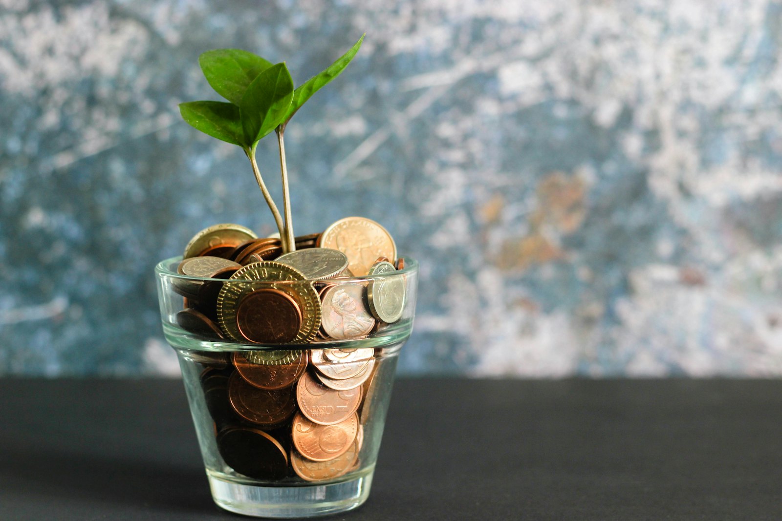 Portfolio diversified via ETF basket — VOO + QQQ + bonds + gold