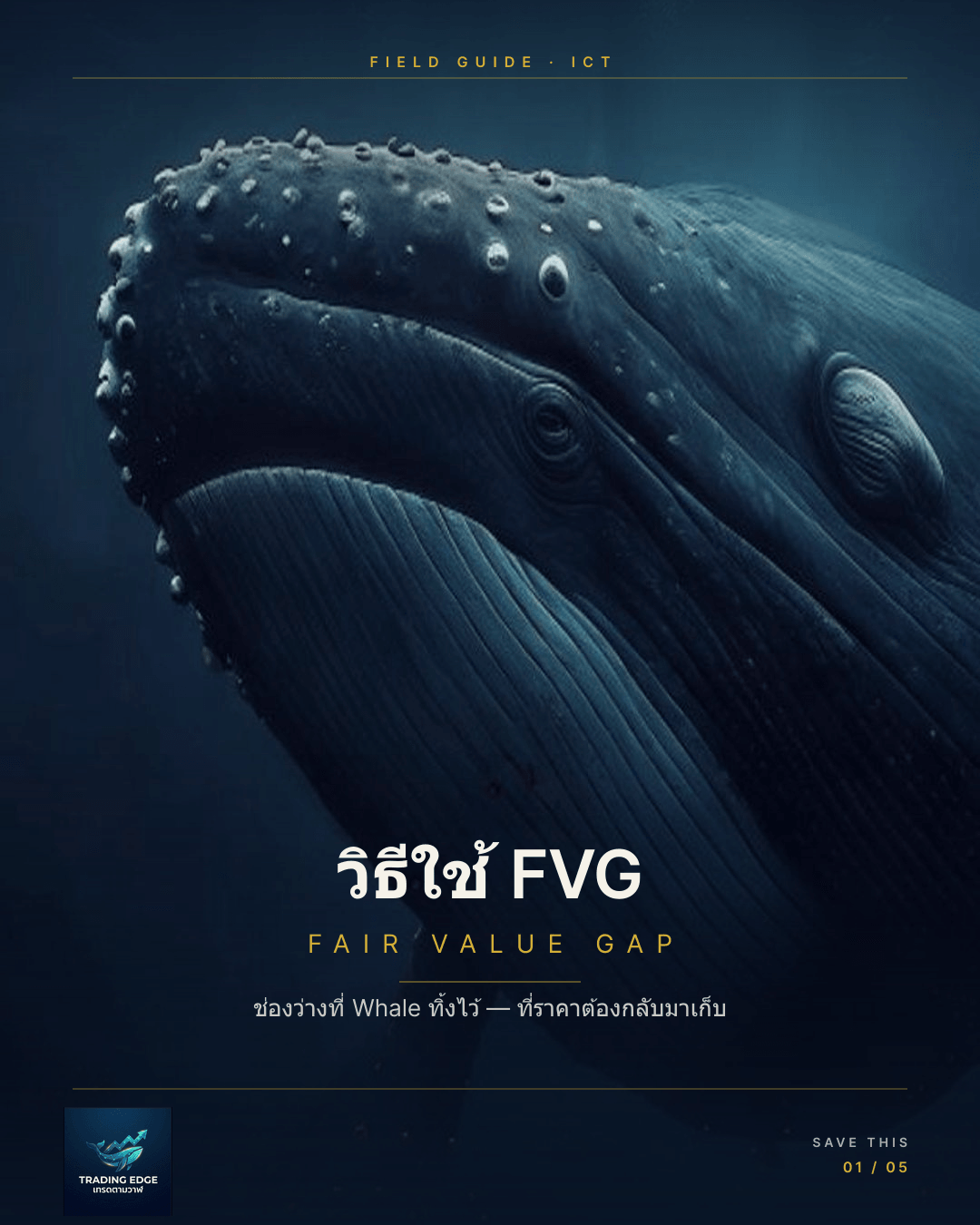 الفجوة السعرية العادلة FVG — شرح ICT مفهوم Fair Value Gap بالعربية